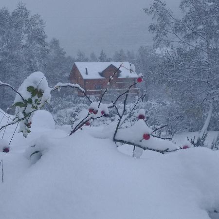 Chalet Bois Au Milieu Des Pyrenees Л'Оспітале-пре-л'Андорр Екстер'єр фото
