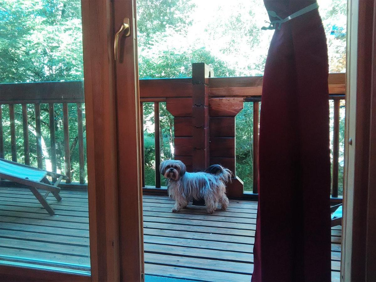 Chalet Bois Au Milieu Des Pyrenees Л'Оспітале-пре-л'Андорр Екстер'єр фото